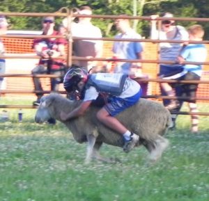 Mutton Bustin @ Fest Grounds
